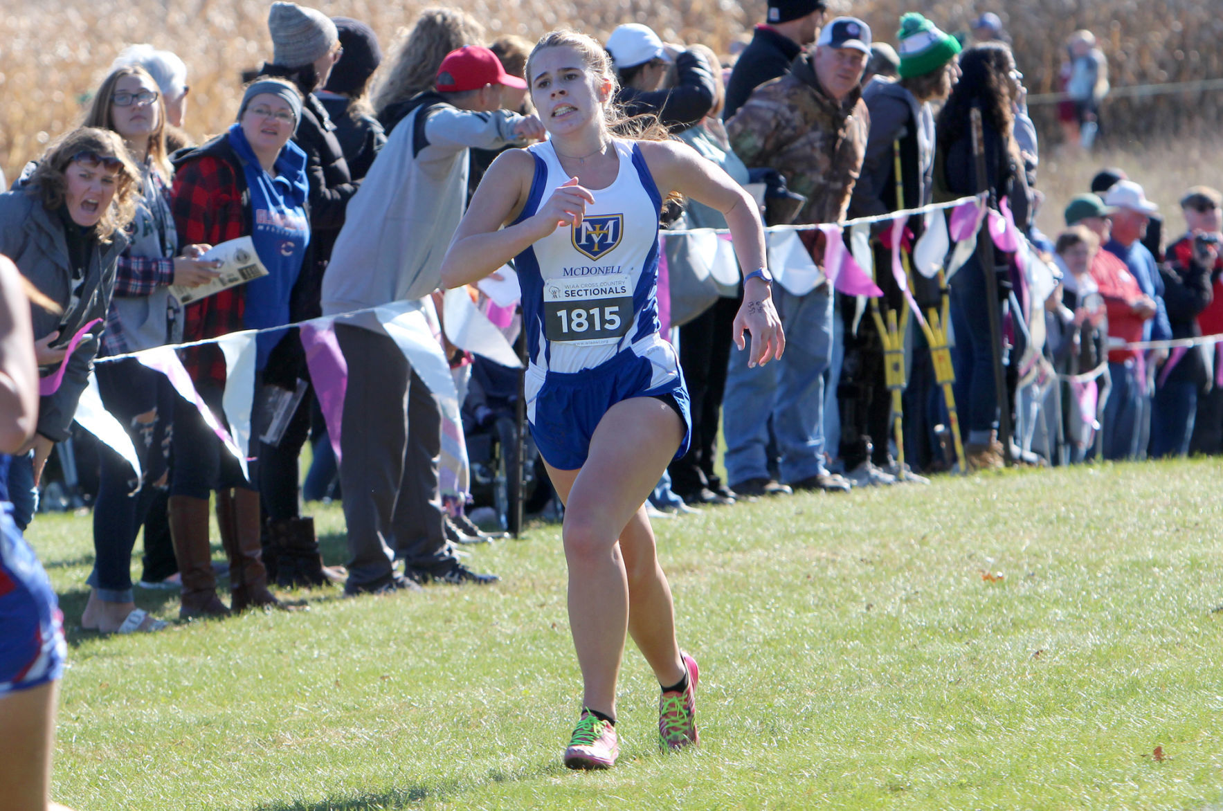 Division 3 Cross Country Sectionals in Boyceville 10-26-19